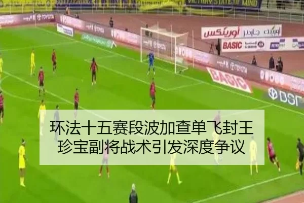 环法十五赛段波加查单飞封王 珍宝副将战术引发深度争议