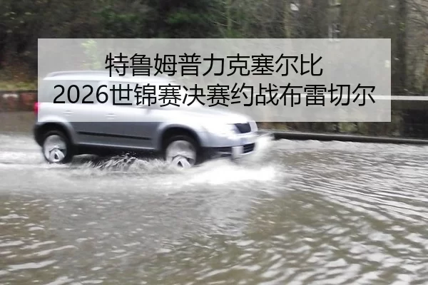 特鲁姆普力克塞尔比 2026世锦赛决赛约战布雷切尔